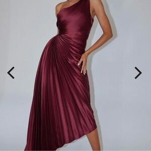 Burgundy Selfie Leslie Dress